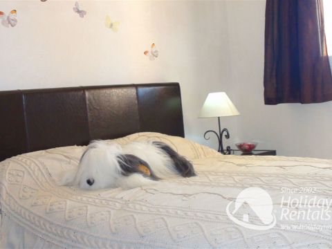 Dormitorio 3