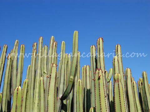 Entorno