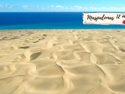 Playa