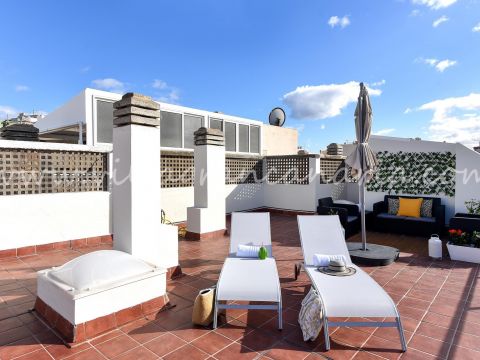 Terraza