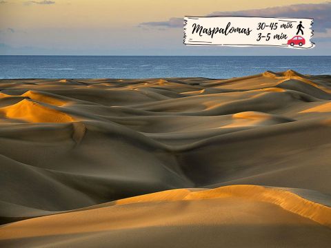 Playa
