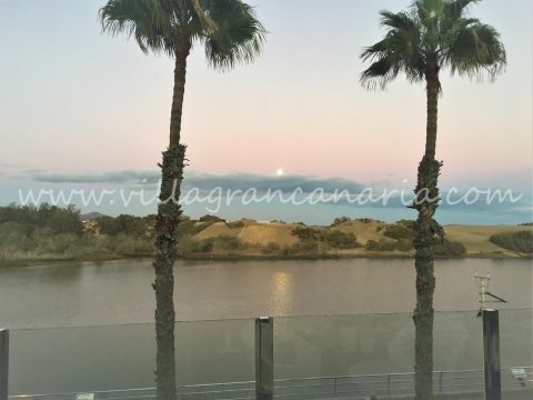 Vistas