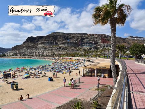 Appartements Canteras City ALOE Playa