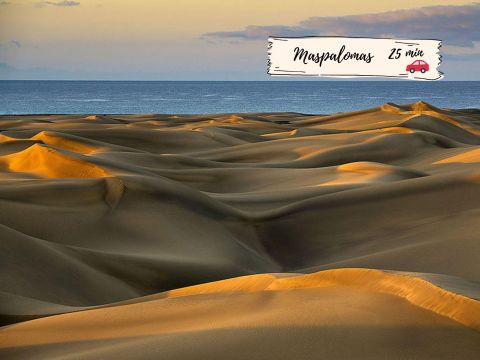 Playa