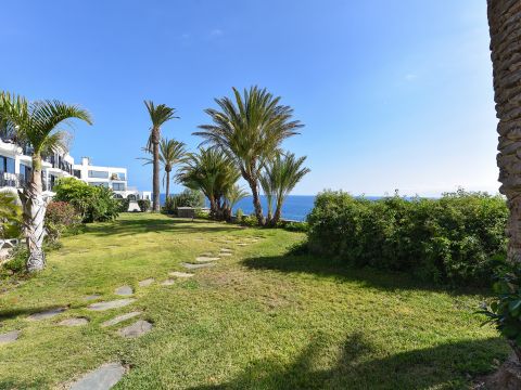 Jardín