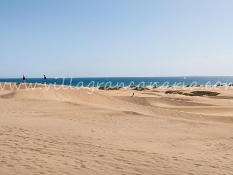 Playa