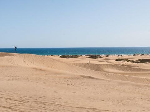 Playa
