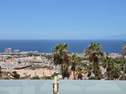 Vistas
