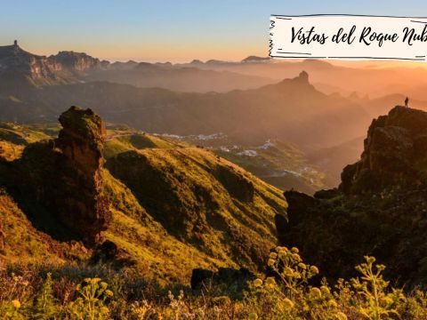 Joviano | Salobre Golf Resort| VillaGranCanaria Playa