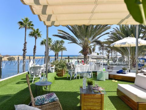 Terraza