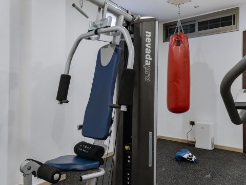 Gimnasio