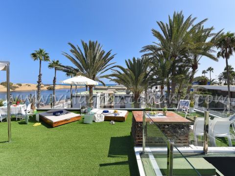 Terraza