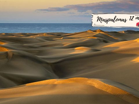 Playa