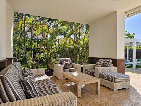 Terraza