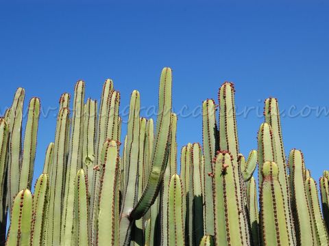 Entorno