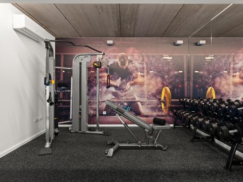 Gimnasio