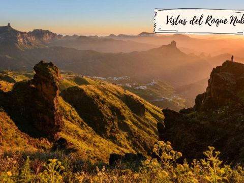 Finca La Casona de Abajo Arucas|VillaGranCanaria Entorno