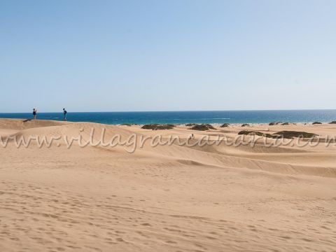 Playa