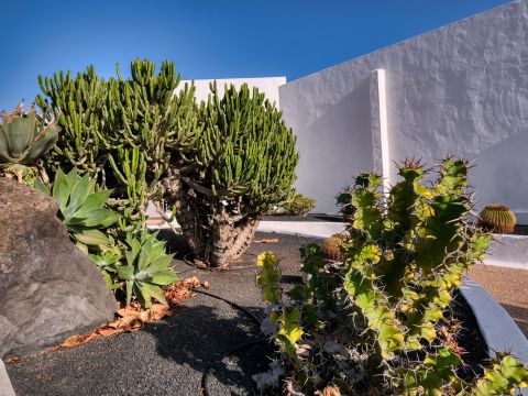 Jardín