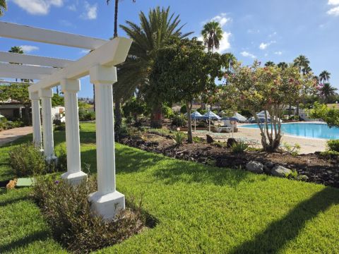 Las Vegas Golf 417 | Family Bungalow in Maspalomas Entorno
