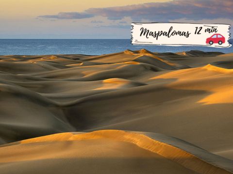 Playa