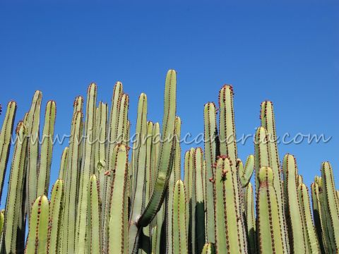 Entorno