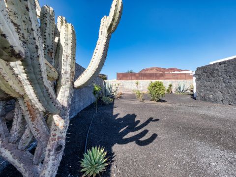 Jardín