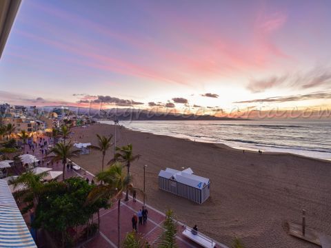 Vistas