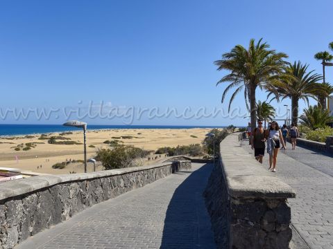 Playa