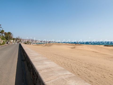 Playa