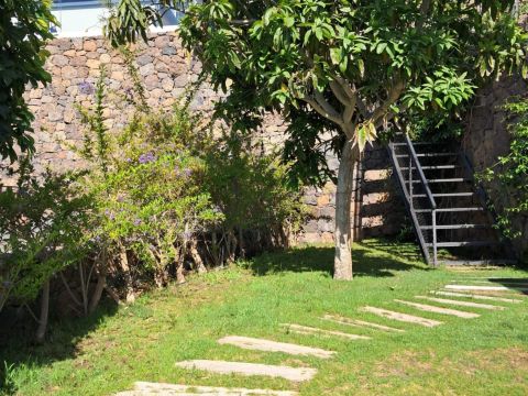 Jardín
