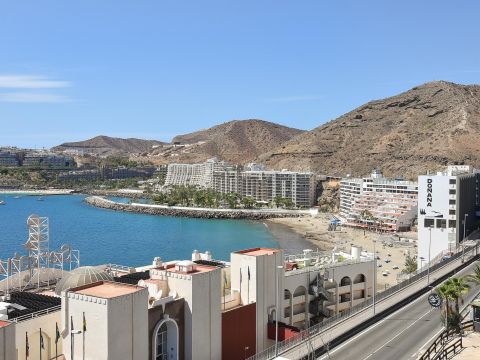 Vistas
