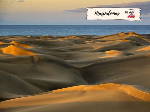 Playa