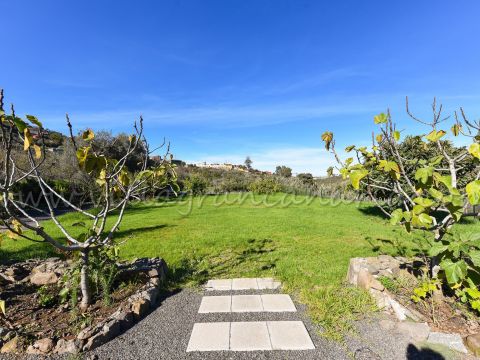 Jardín