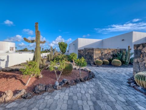 Jardín